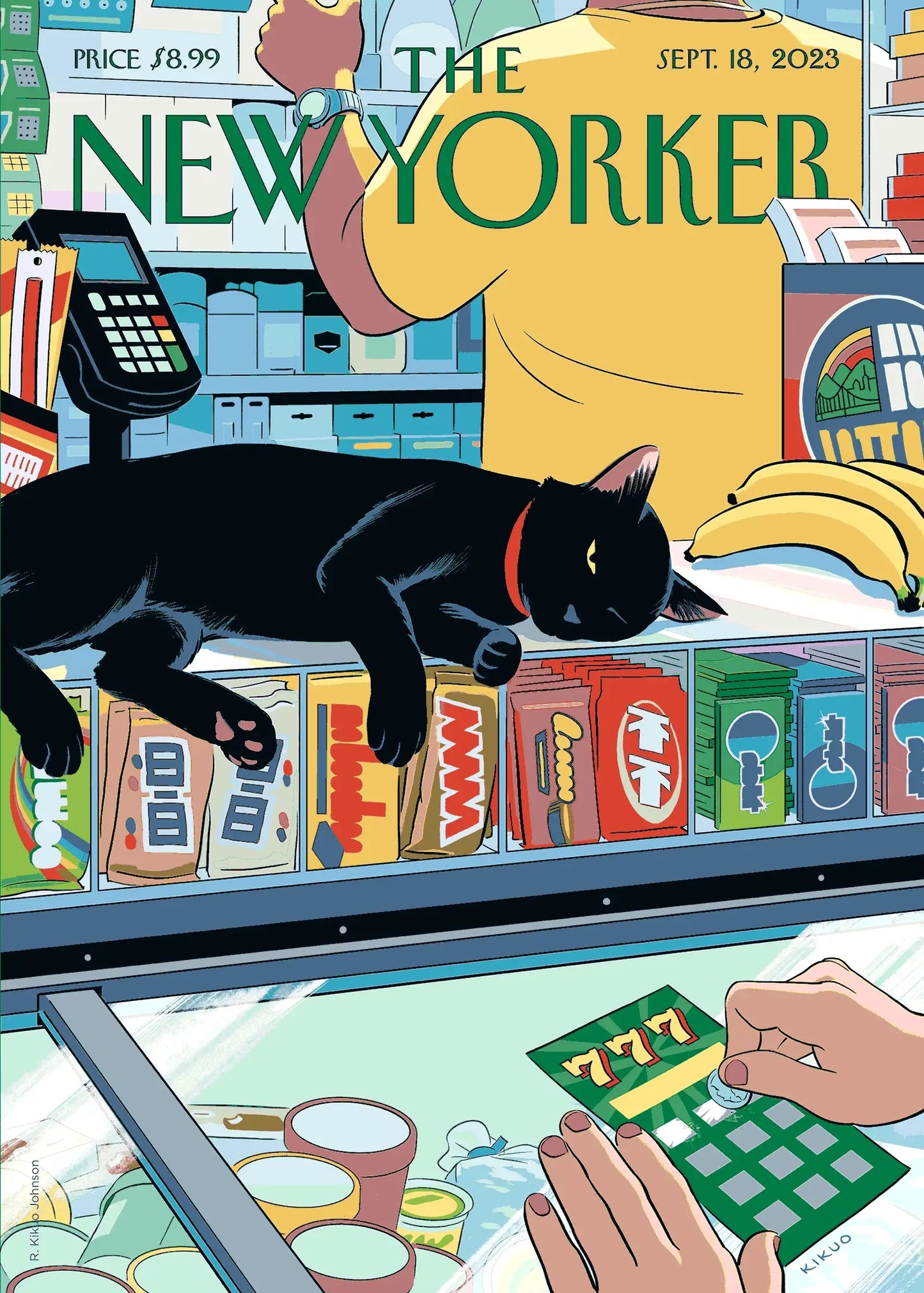 "Bodega cat" chat dormant sur le comptoir d'une superette