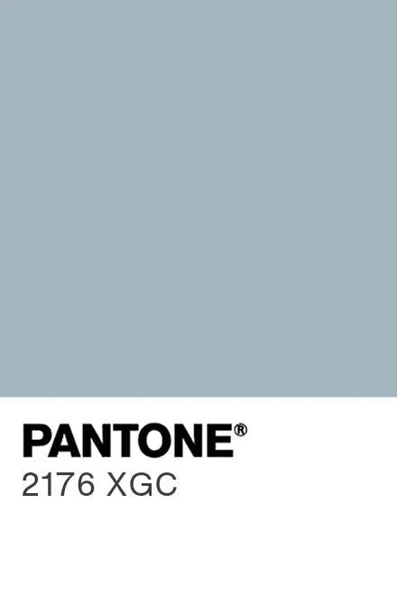 Dusty Sky - Mug Pantone