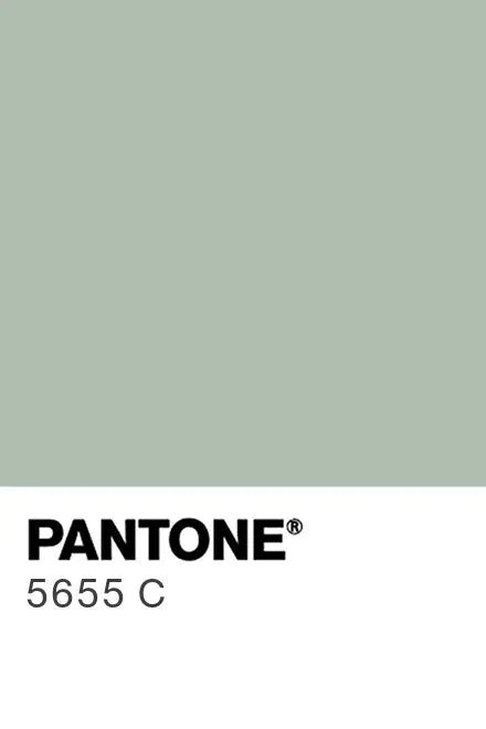 Sage - Mug Pantone