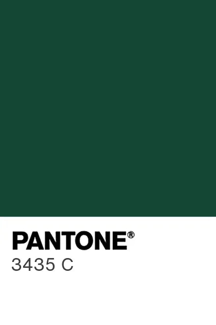Dark Green - Porte-clés Pantone