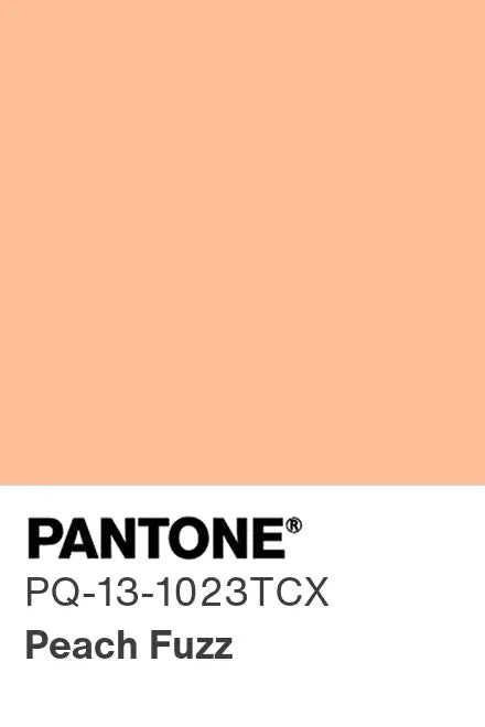 Peach Fuzz - Tasse à Expresso et Mug Pantone