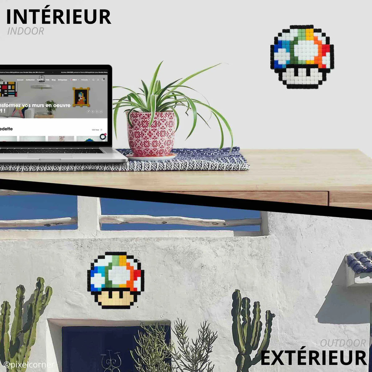 La mosaïque pixel art Champignon Rainbow sur un mur intérieur et extérieur