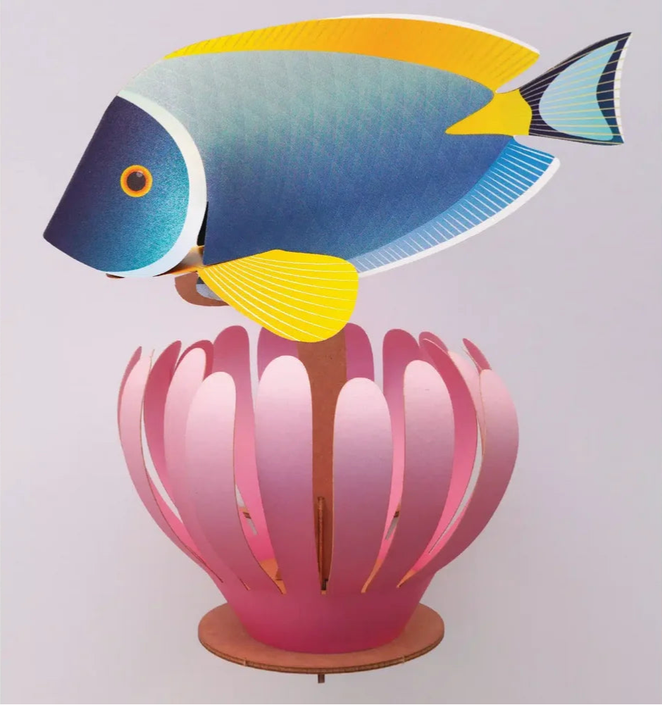 Poisson Powder Tang - Puzzle 3D collection Vie Marine - Assembli