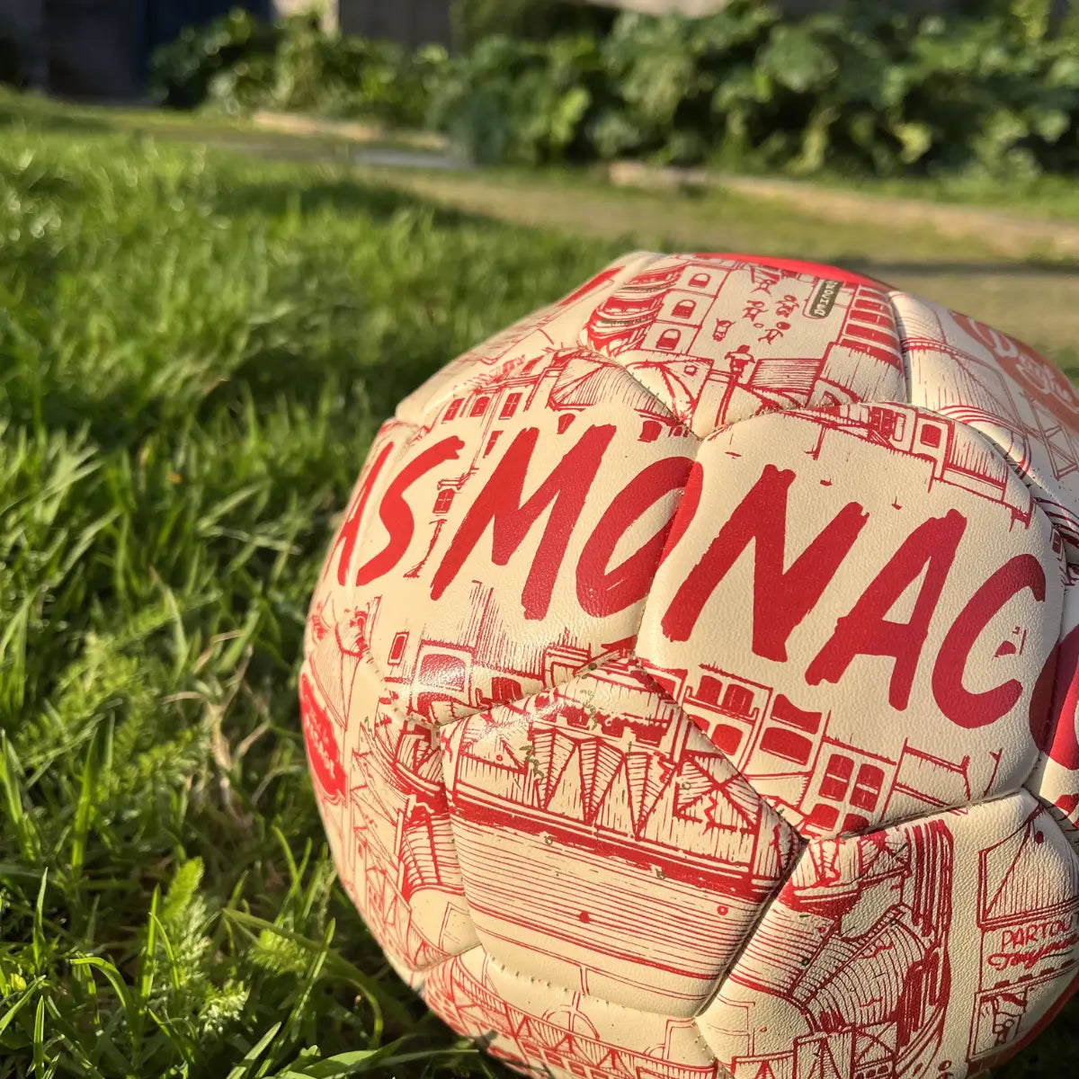 Ballon clubique de l'AS Monaco dans l'herbe