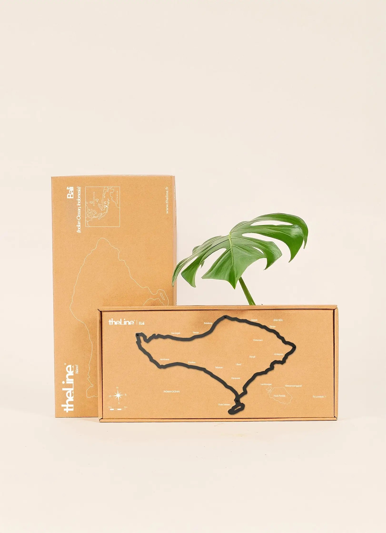 Silhouette murale de Bali - The Line - Packaging