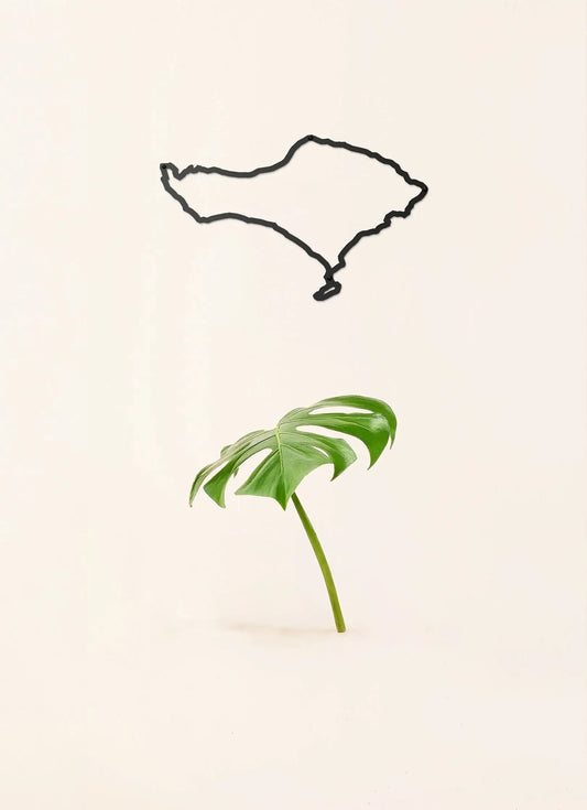 Silhouette murale de Bali - The Line