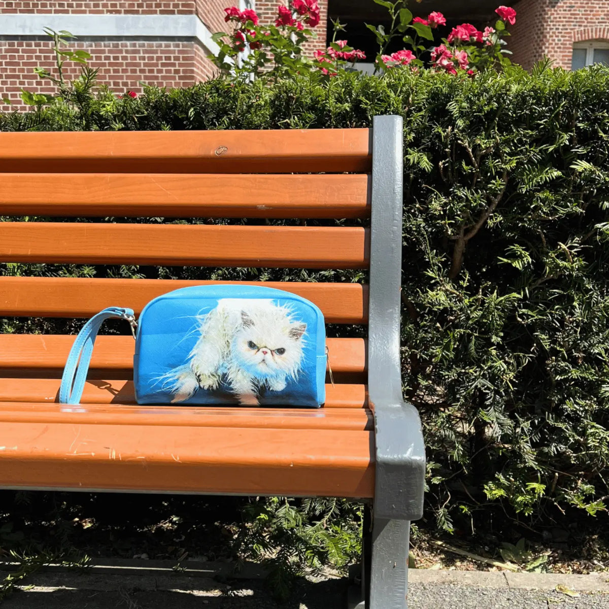 Trousse de Toilette Angry Cat sur un banc dans un parc