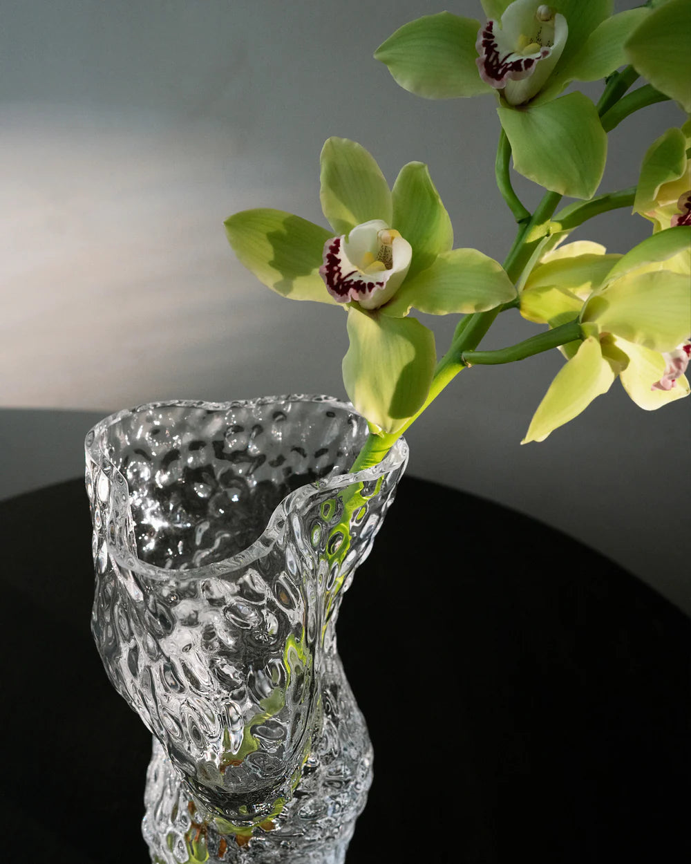 Vase Transparent - Ostrea - Hein Studio