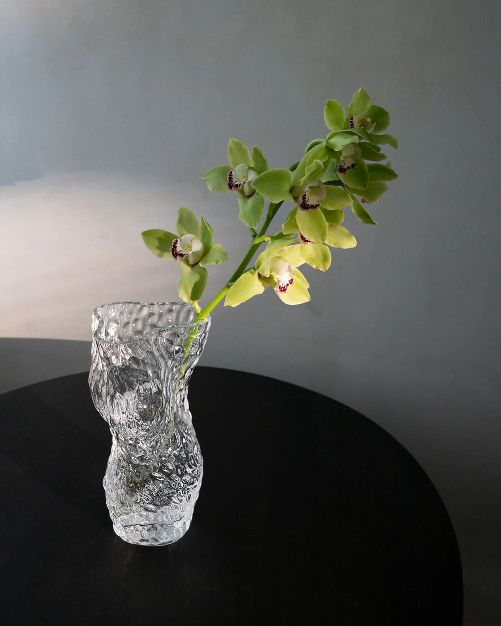  Vase Transparent - Ostrea - Hein Studio