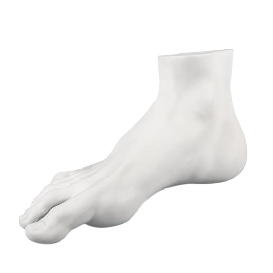 Pied d'Homme - Collection Souvenirs Mvsevm