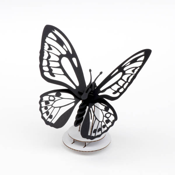 Papillon à Ailes d'Oiseau - Puzzle 3D Collection Insectes