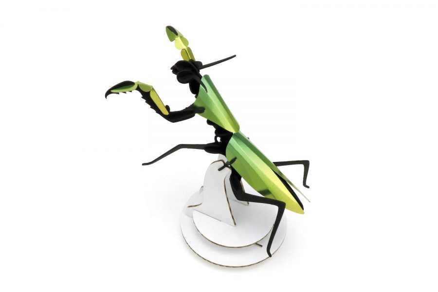 Mante religieuse Assembli Mango Green- puzzle 3D collection insectes - Praying mantis
