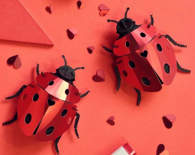 coccinelle - puzzle 3D collection insectes - Assembli