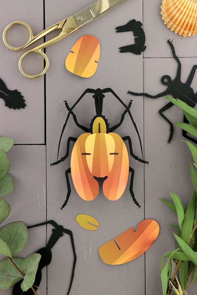 Scarabée Violon - Puzzle 3D collection insecte - Assembli