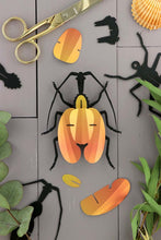 Charger l&#39;image dans la galerie, Scarabée Violon - Puzzle 3D collection insecte - Assembli
