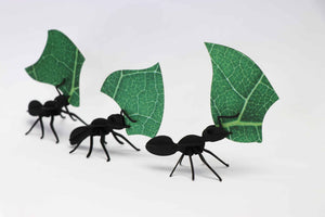 Fourmis Coupeuses de Feuilles - Puzzle 3D Collection Insectes