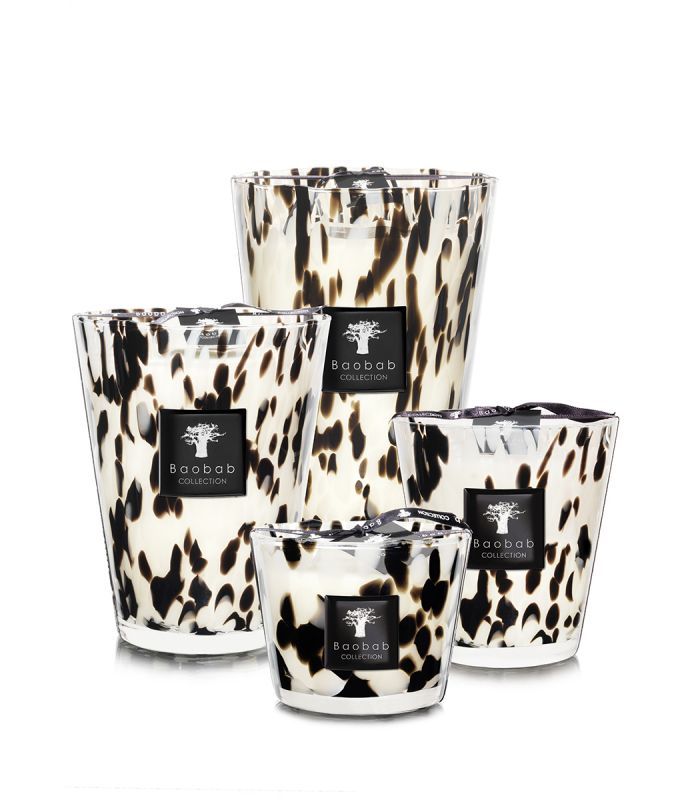 Bougies Black Pearls Baobab Collection dans les quatre formats MAX 10, 16, 24 et 35