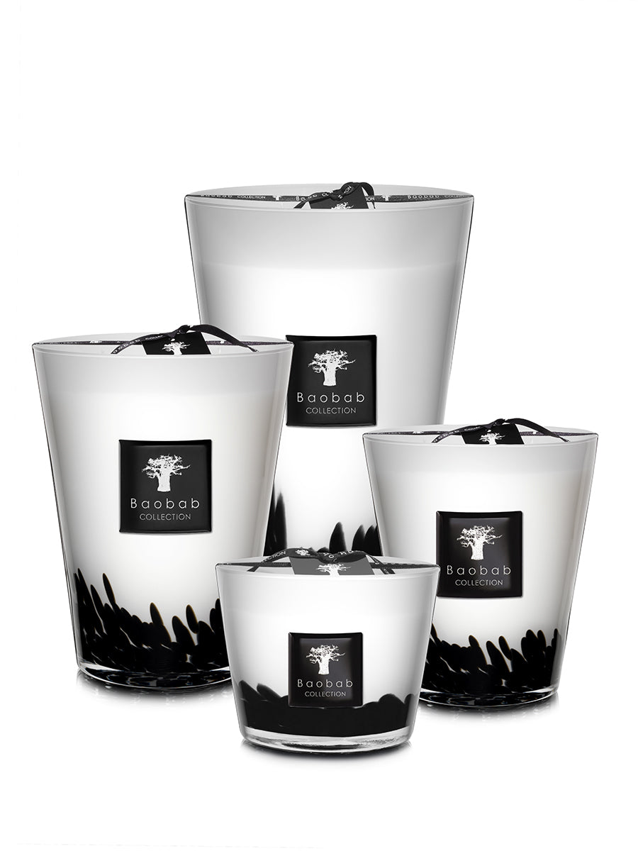 Bougies Feathers Baobab Collection en différents formats, du Max 10 au Max 24