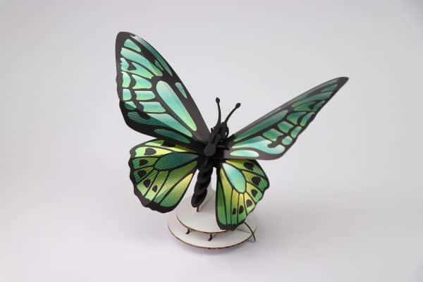 Papillon à Ailes d'Oiseau - Puzzle 3D Collection Insectes - Assembli