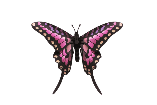 Papillon Epée - Puzzle 3D Collection Insectes - Assembli