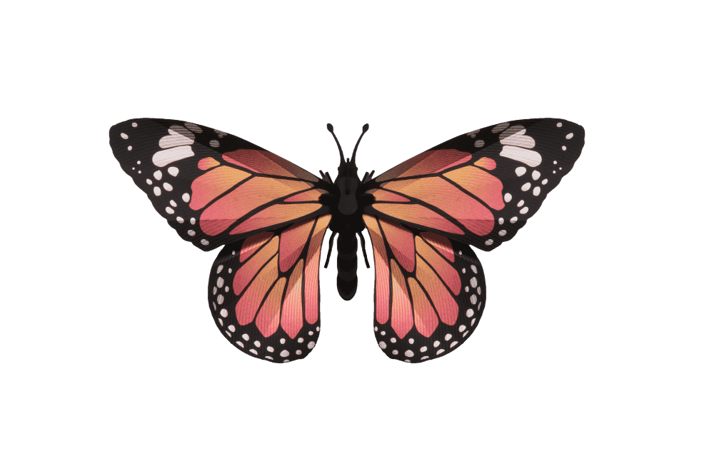 Papillon Monarque - Puzzle 3D Collection Insectes