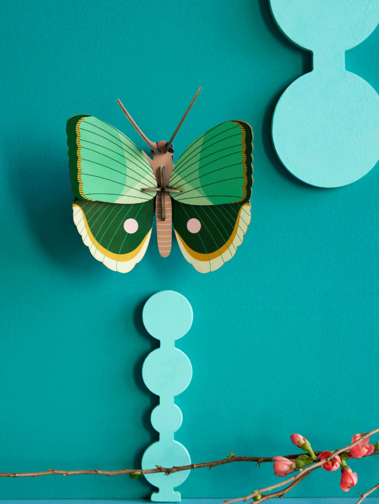 Papillon rigolo en médium à décorer ( mdf )