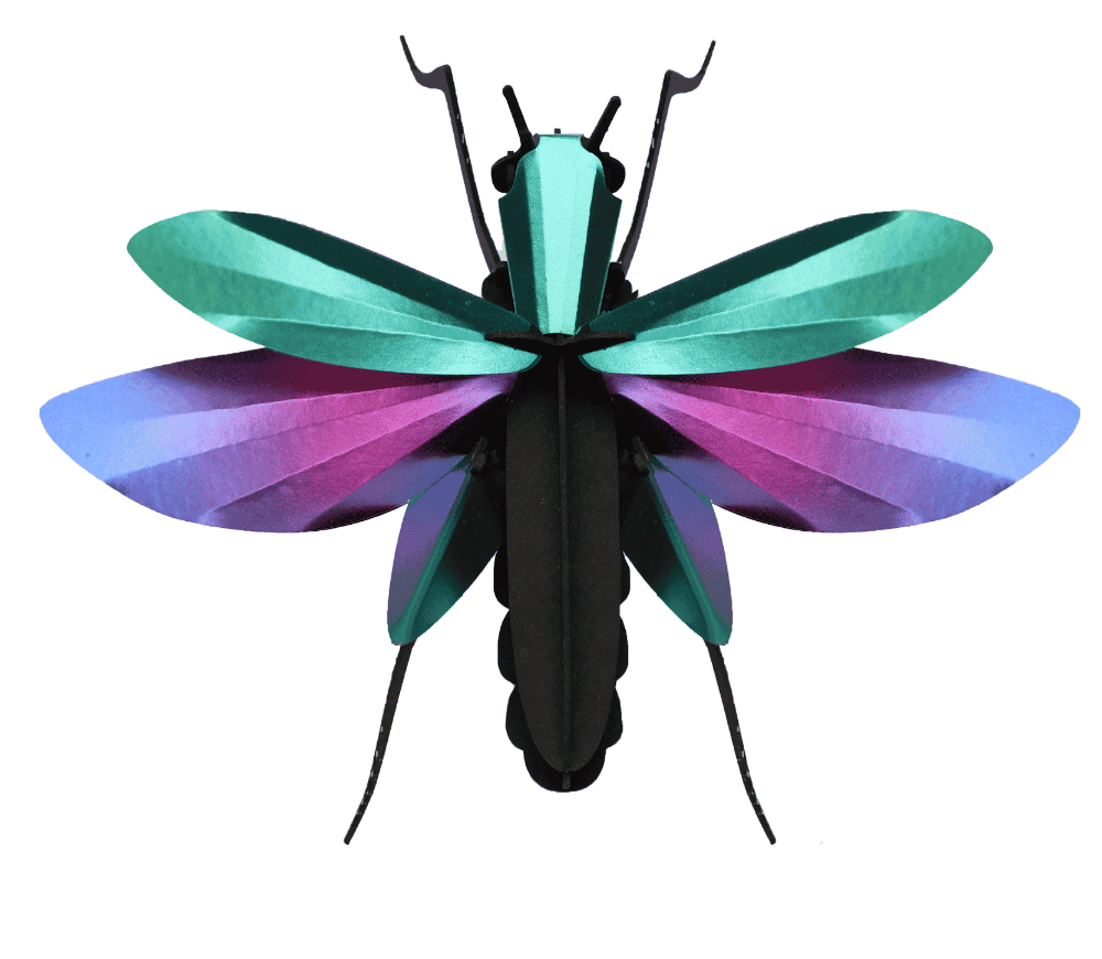 Sauterelle - Puzzle 3D Collection Insectes - Assembli