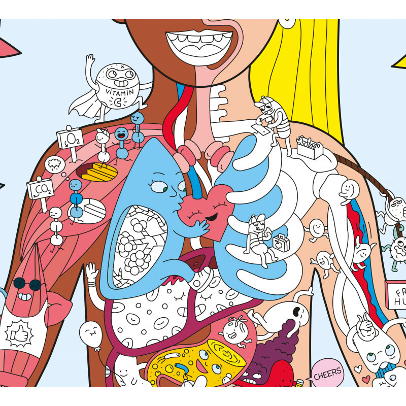 My Body - poster géant à colorier avec stickers - OMY