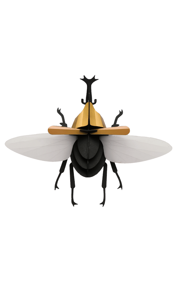 Scarabée Rhinoceros - Puzzle 3D Collection Insectes - Assembli