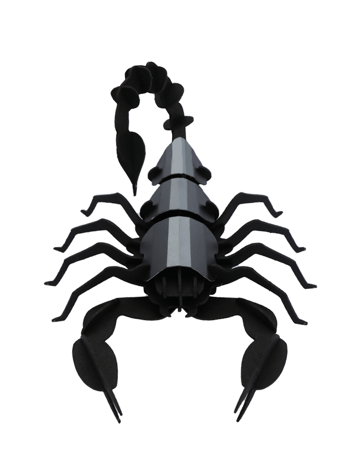 Scorpion - Puzzle 3D Collection Insectes - Assembli