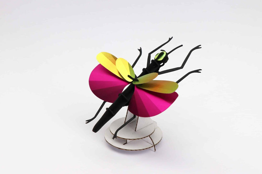 Phasme - Puzzle 3D Collection Insectes - Assembli