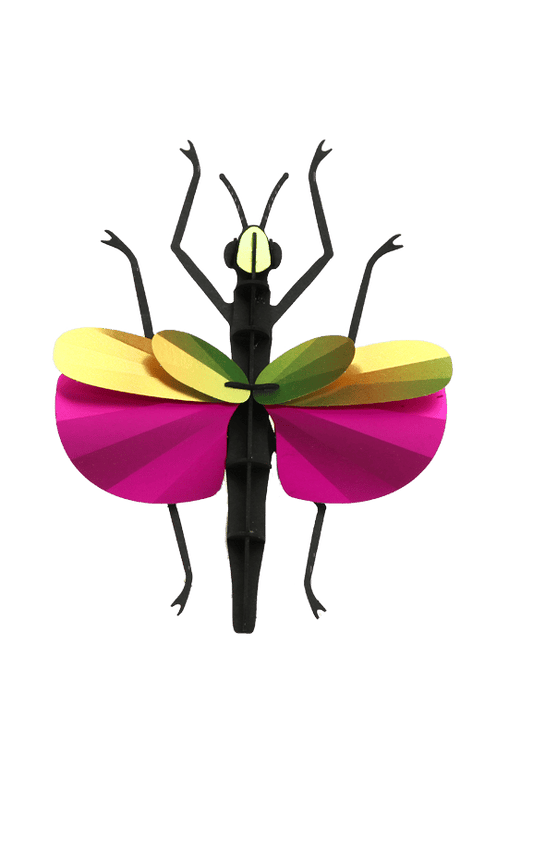 Phasme - Puzzle 3D Collection Insectes - Assembli
